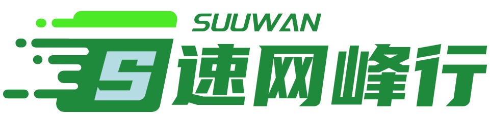 速网峰行速网科技
